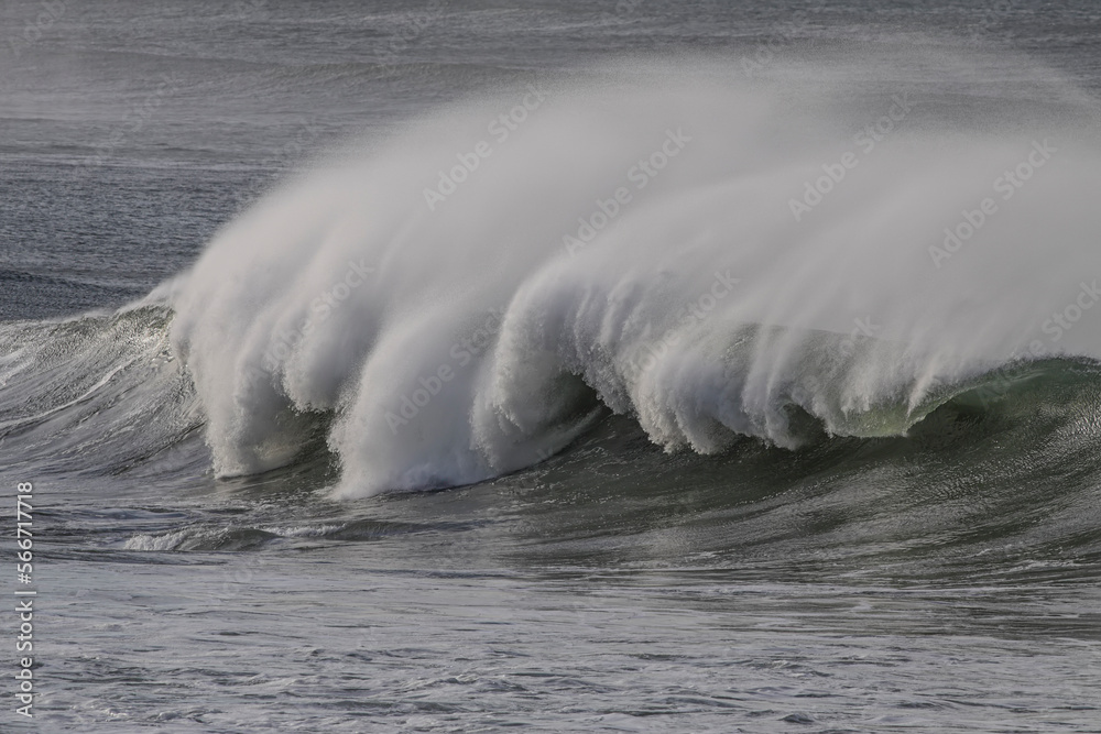 Big breaking sea wave with spray