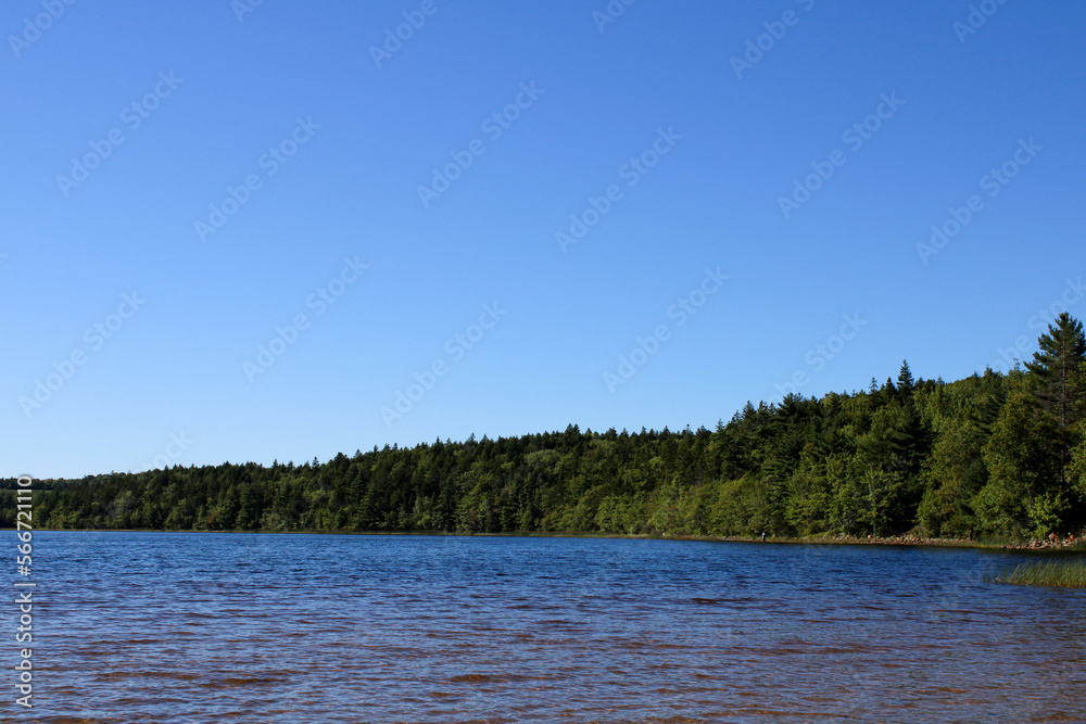 lake in the forest lake in the forest