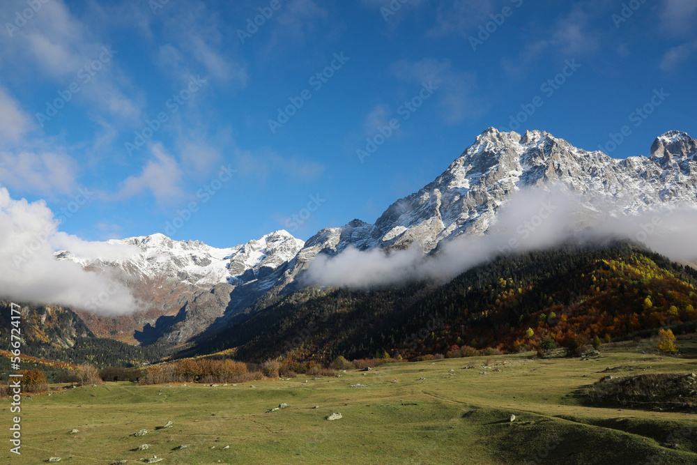 Picturesque view of high mountains with forest covered by mist and meadow under blue sky on autumn day