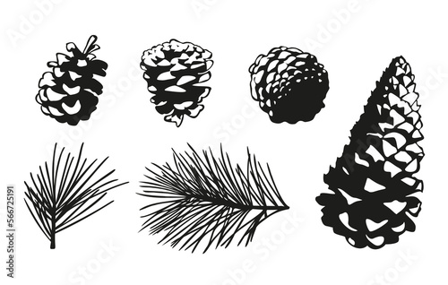 set of silhouettes of cones of cones, branches of pine, cedar