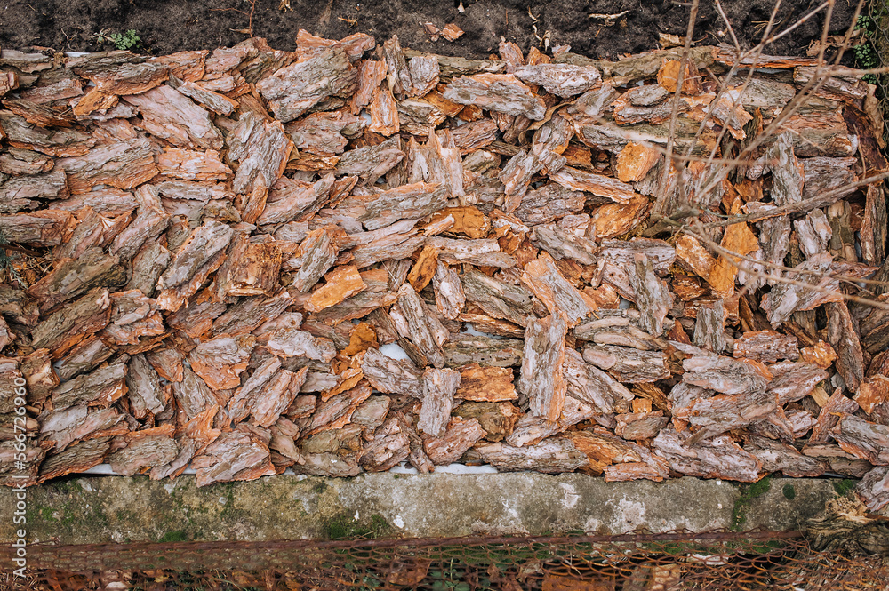 Background, texture, top view of chips, pieces of brown bark from a spruce tree in the forest. Photography of nature. Background, texture, top view of chips, pieces of brown bark from a spruce tree in the forest. Photography of nature.
