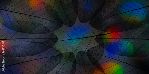 bokeh abstract background and leaves ckeletons - art picture