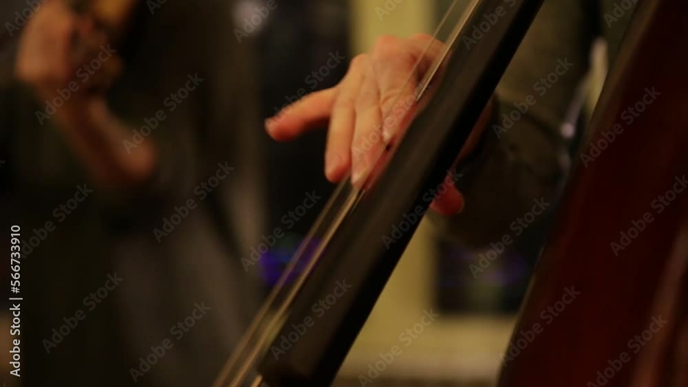 Jazz musician playing acoustic bass in house live music show Jazz musician playing acoustic bass in house live music show