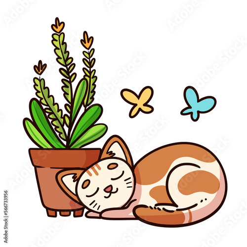 Sleeping domestic cat along a potted plant with butterflies.