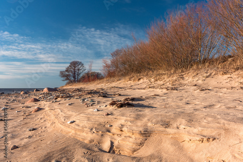 Fototapeta Naklejka Na Ścianę i Meble -  Rocky beach of the Baltic Sea at sunset