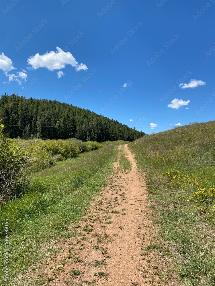 Trail in the hills of Colorado