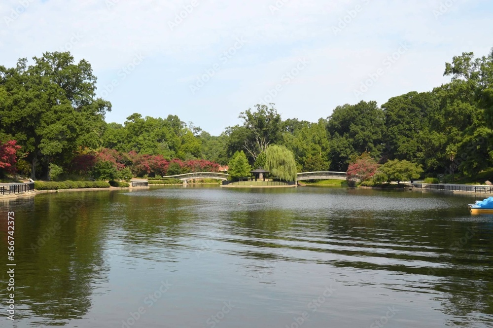 Fototapeta premium river in the park