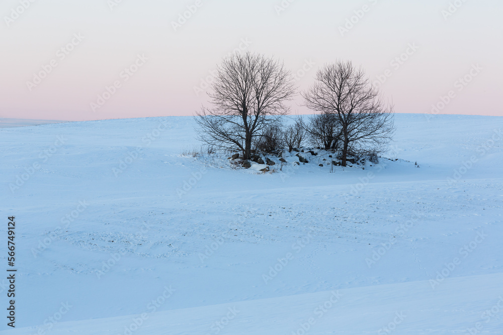 sunny, snowy winter day in the countryside sunny, snowy winter day in the countryside