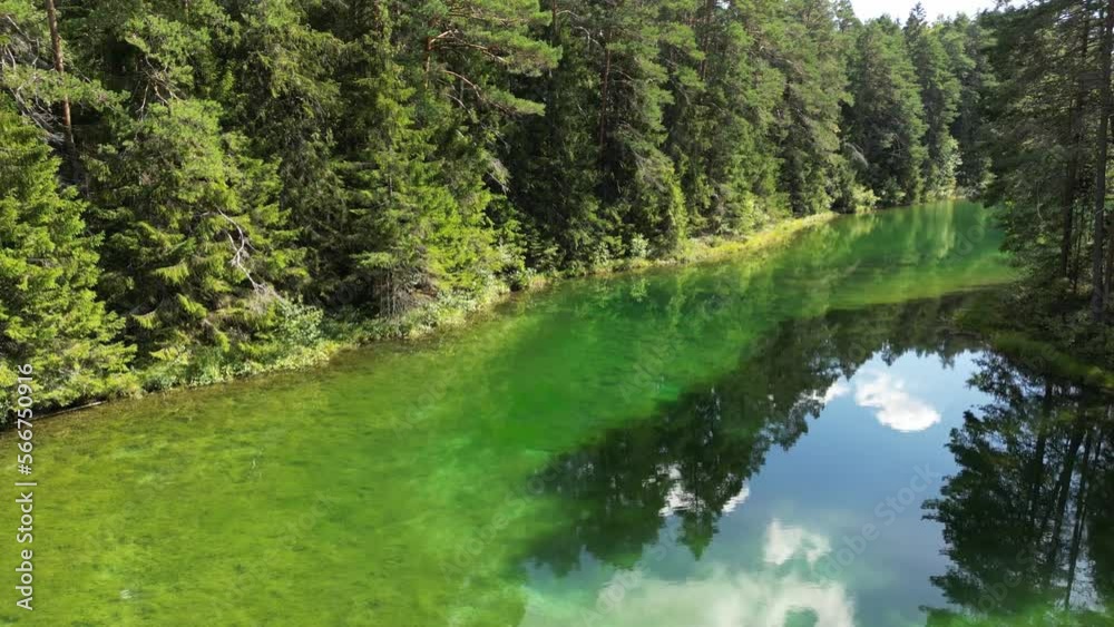 Aerial view of spring near Crystal river, clear stream spectacular view of the spring water flowing. Pine trees in Summer. Transparent water and touristic boats discovering the archipelago landscape. Aerial view of spring near Crystal river, clear stream spectacular view of the spring water flowing. Pine trees in Summer. Transparent water and touristic boats discovering the archipelago landscape.