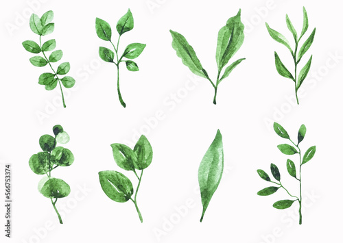 Set of green leaves watercolor botany collection cliparts isolated for decor, stickers