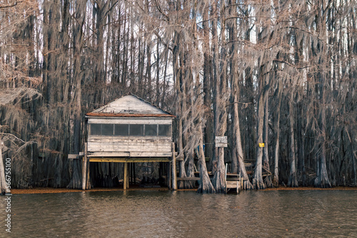 The ruins of the historic Dick and Charlie's Tearoom on Caddo Lake in Texas photo