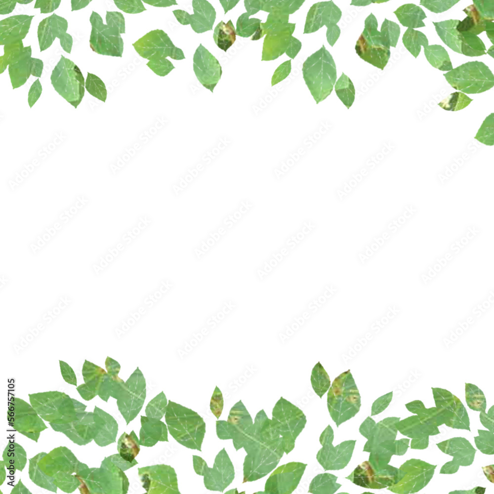 Background with green leaves on a white background. Frame, banner.