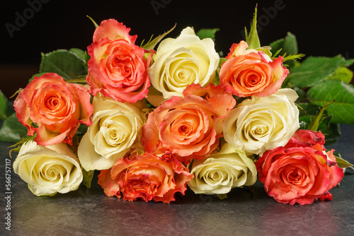 Rose bloom. Natural blooming flower blossom  isolated on the black background. Valentines day cards