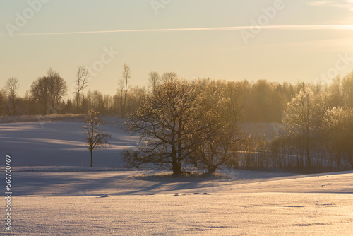 Wallpaper Mural sunny, snowy winter day in the countryside at sunset Torontodigital.ca