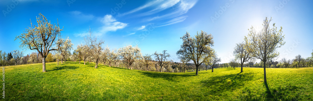 Idyllic rural panorama on a sunny day, a soothing landscape shot with a green meadow and blue sky Idyllic rural panorama on a sunny day, a soothing landscape shot with a green meadow and blue sky