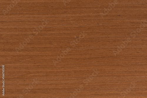Texture of mahogany. Bright texture of mahogany veneer for furniture production.