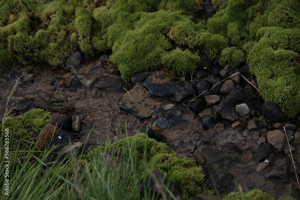 Carpathian mountain river. Water flows over stones. Carpathian mountain river. Water flows over stones.