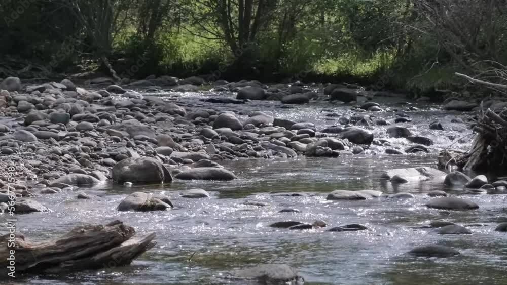 Small Rocky Creek Stream Small Rocky Creek Stream