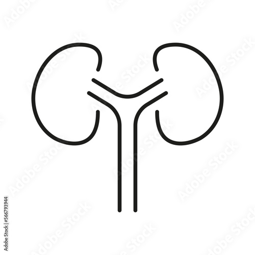 Human Kidney Line Icon. Internal Anatomy of Renal Organ Linear Pictogram. Medical Urology, Nephrology Outline Icon. Kidneys Disease, Dialysis Treatment. Editable Stroke. Isolated Vector Illustration