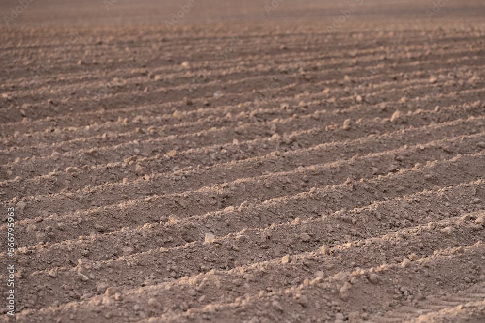 A large plowed agricultural field. The endless ranks of the beds are ready for the growth of the new crop