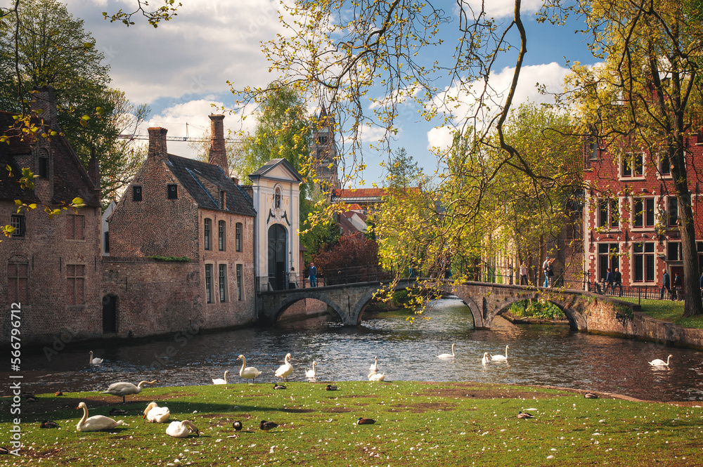 Fototapeta premium Houses along the canals of Brugge or Bruges, Belgium