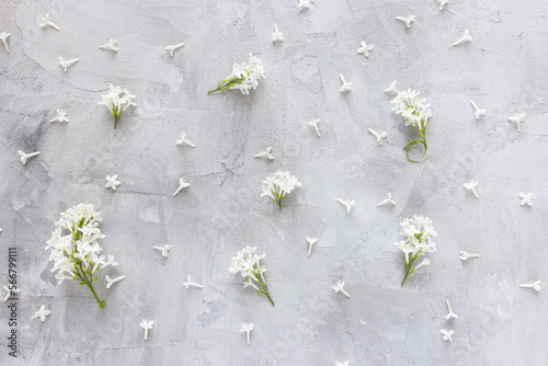 Fresh white lilac blossom petals on gray background