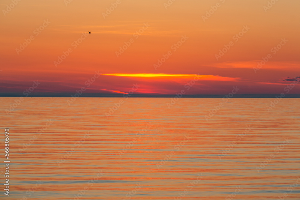 Obraz premium rocky beach at sunset