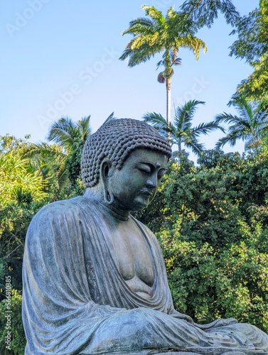 Finding Serenity: A Glimpse of the Seated Buddha Statue at Foster Botanical Garden in Honolulu
