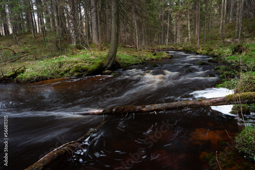 A small forest stream with sandstone outcrops