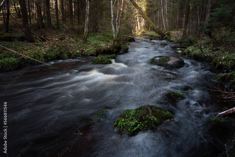 A small forest stream with sandstone outcrops, ligatne A small forest stream with sandstone outcrops, ligatne