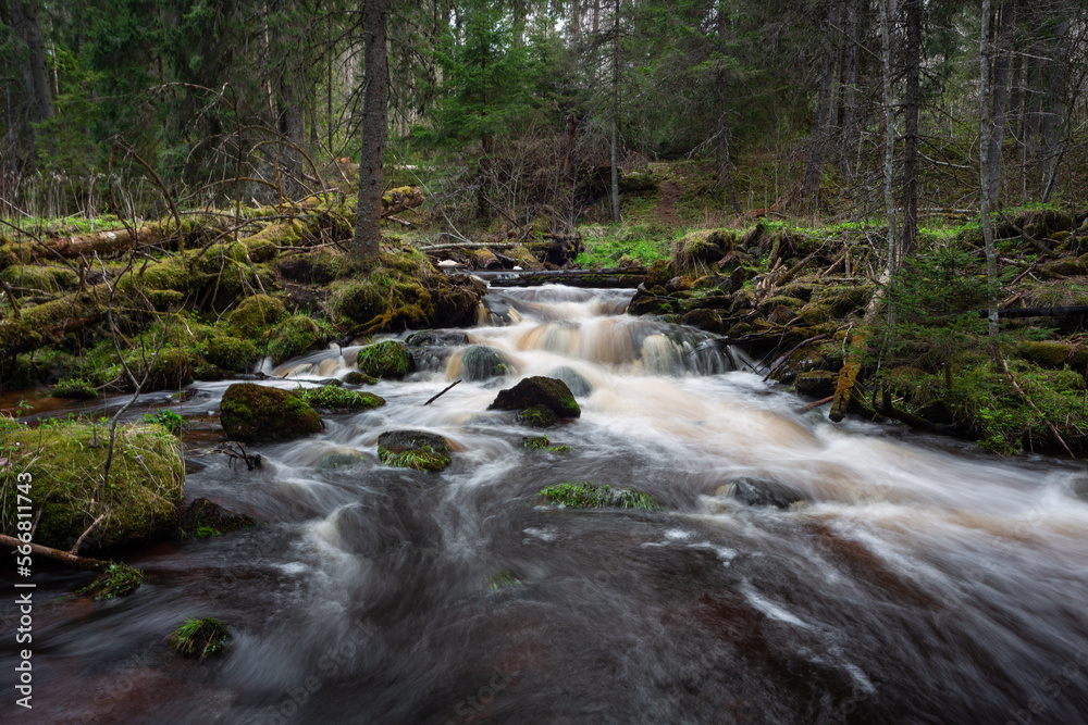 A small forest stream with sandstone outcrops, ligatne A small forest stream with sandstone outcrops, ligatne