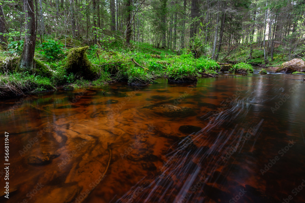 A small forest stream with sandstone outcrops, ligatne A small forest stream with sandstone outcrops, ligatne