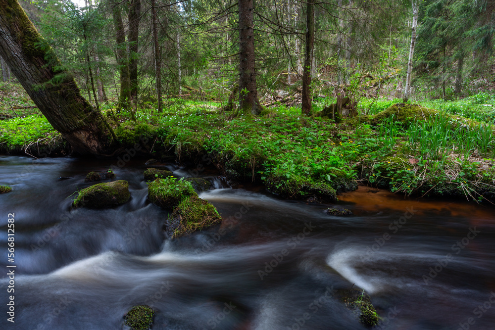 A small forest stream with sandstone outcrops, ligatne