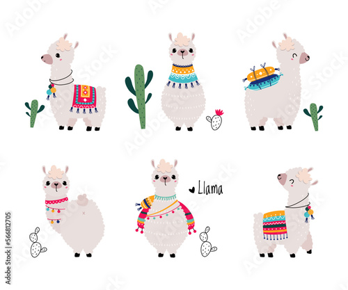 Pretty Wolly Llama or Alpaca Wearing Knitted Blanket in Different Pose Vector Set