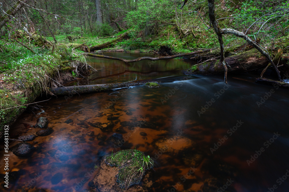 A small forest stream with sandstone outcrops, ligatne A small forest stream with sandstone outcrops, ligatne