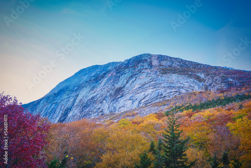 Scenic View in the Fall