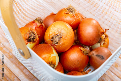 Image of fresh onions in a bucket standing on a wooden table. Close-up image