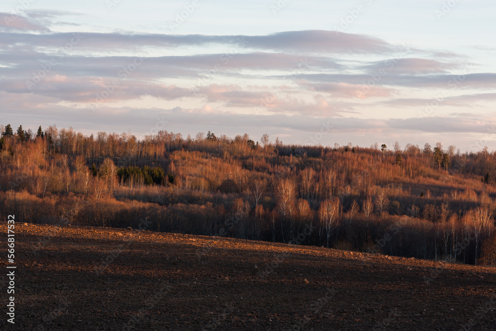 Fototapeta premium Cultivated crop fields in the spring