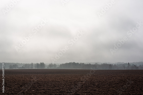 Cultivated crop fields in the spring