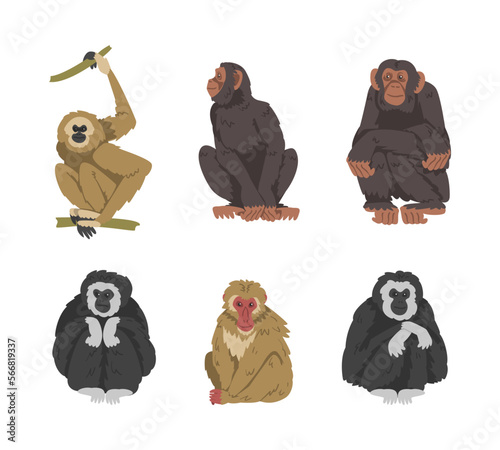 Monkey as Arboreal Primate and Simian Mammal Vector Set