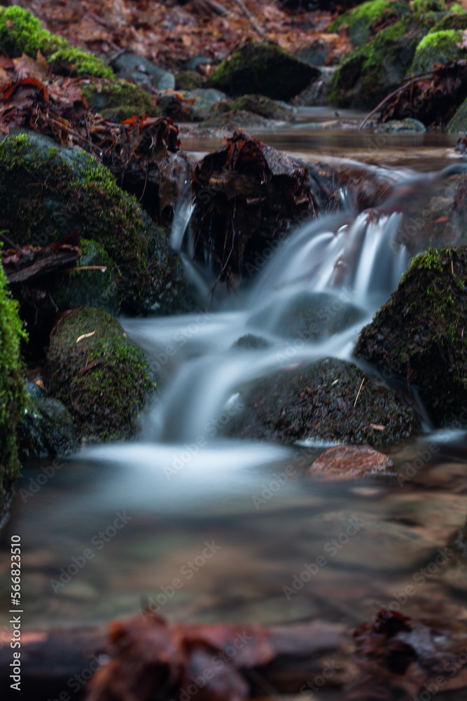 Fototapeta premium A small forest stream with sandstone outcrops