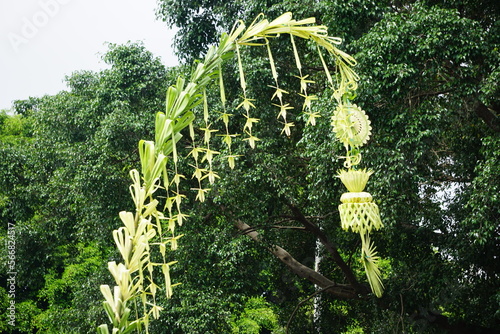 The art of coconut leaves is called penjor. Penjor functions as a decoration intended to beautify the event and in Bali functions as a means of ceremonial equipment that has sacred values photo