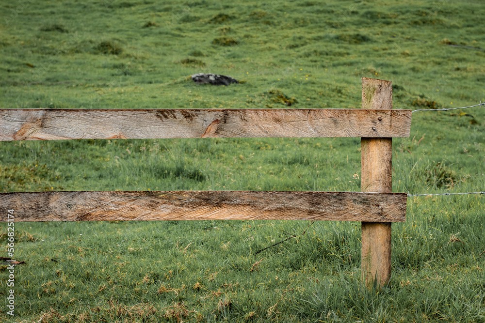wooden fence and grass wooden fence and grass
