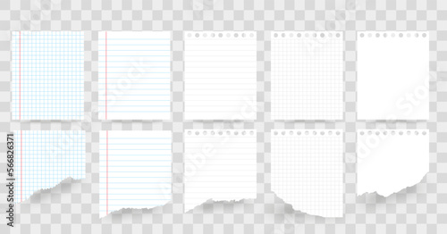 Blank sheets of square and lined paper.paper blank sheets . Set of Torn paper.Ripped paper.Vector