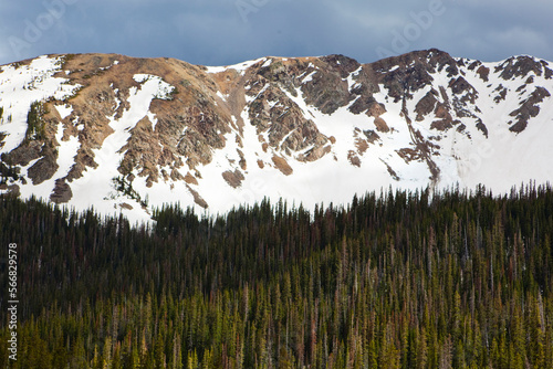 Mountains rise above a forest decimated by bark beetles in Baker Gulch, Never Summer Wilderness, Colorado. photo