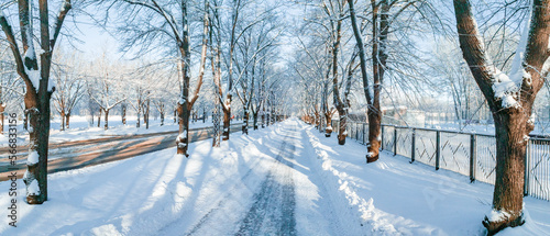 Snow path through winter park on a sunny day. Beautiful magical winter panorama. © Aerial Film Studio