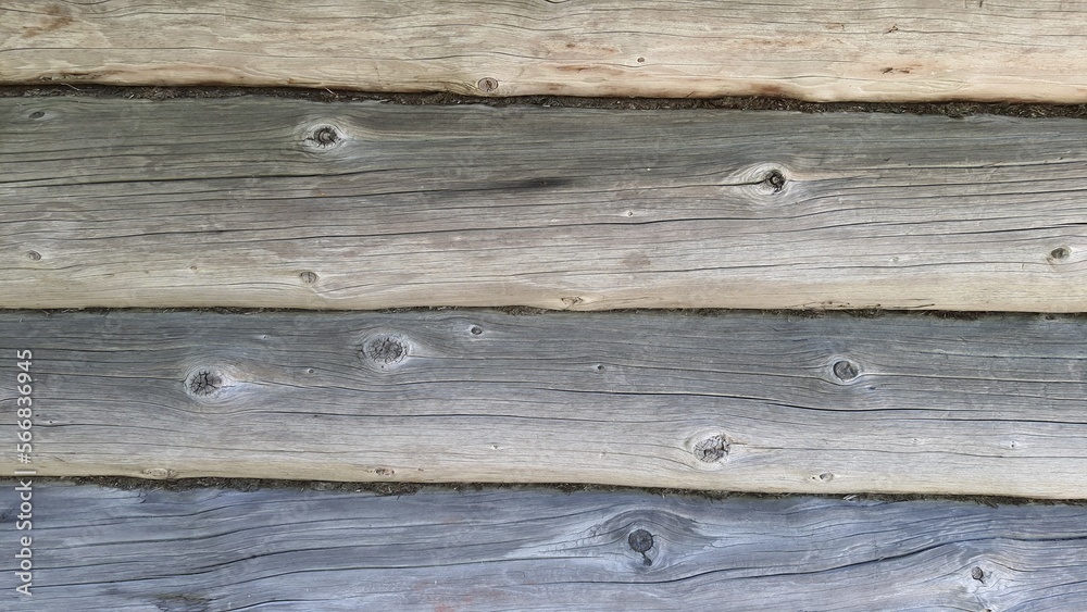 wood grain tree background texture backdrop wood grain tree background texture backdrop