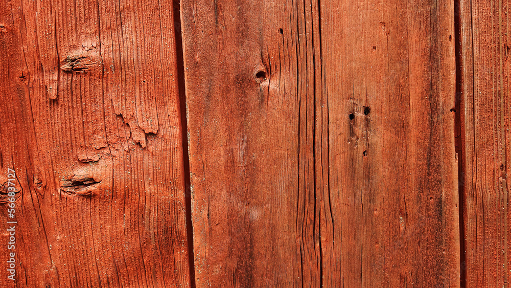 Naklejka premium wood grain tree background texture backdrop