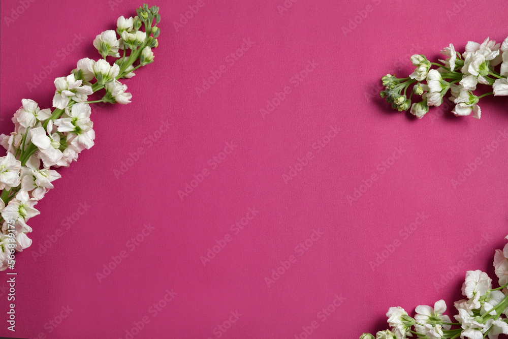 flowers on viva magenta background flowers on viva magenta background