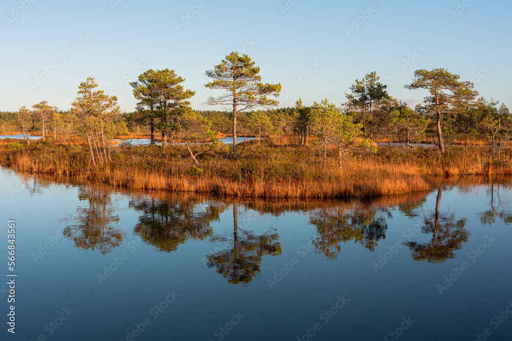 Summer Landscapes of Swamp Lakes with Clouds - obrazy, fototapety, plakaty 